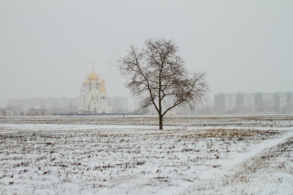 Фотография автора 