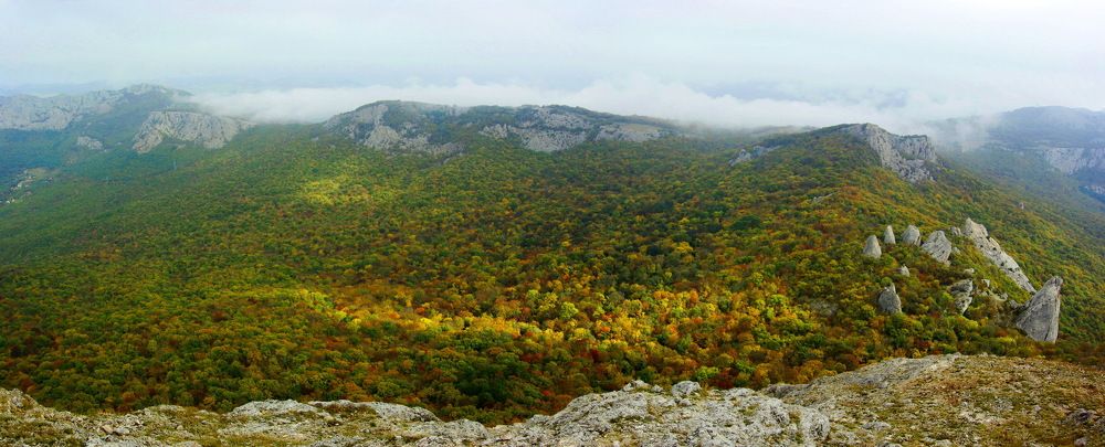 Сказочный лес