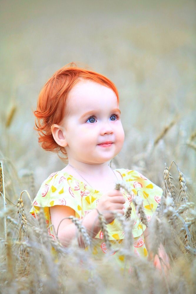 Солнышко в пшеничке