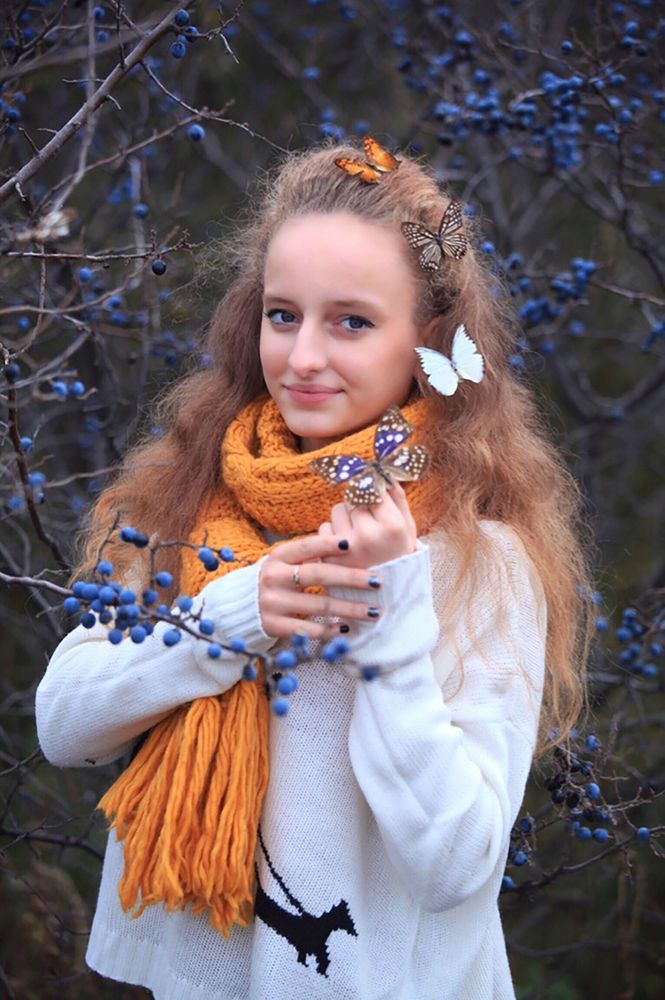 Бабочки в лесу