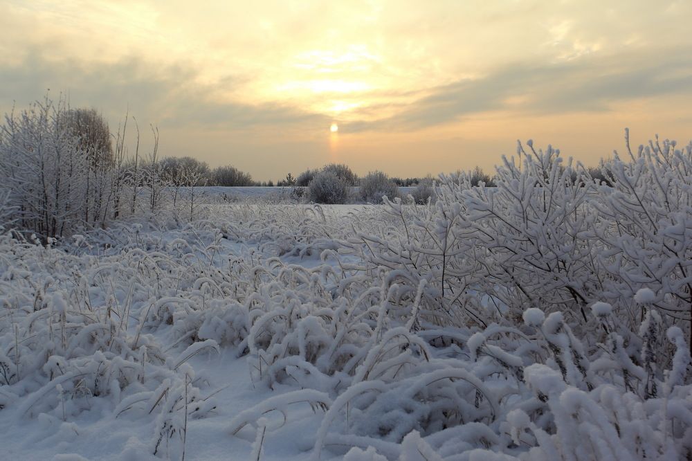 морозное утро