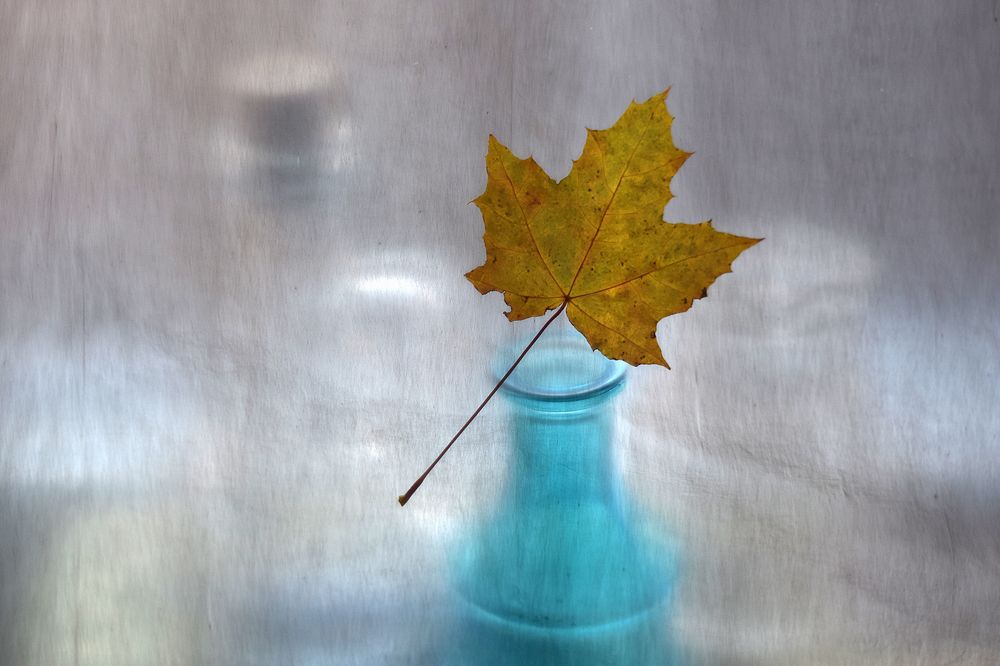 Последние мгновения уходящей осени.