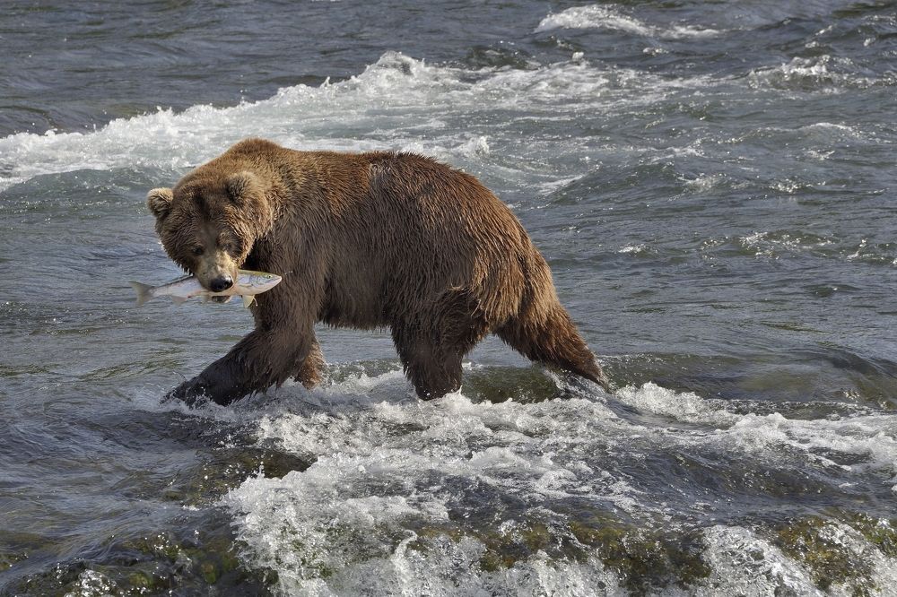 Я еще вернусь.