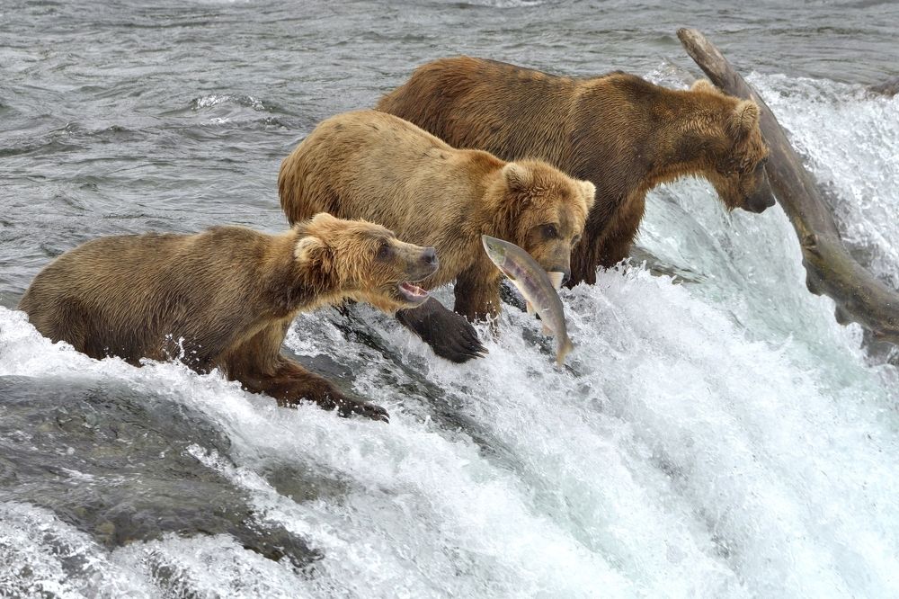 Лети ко мне!