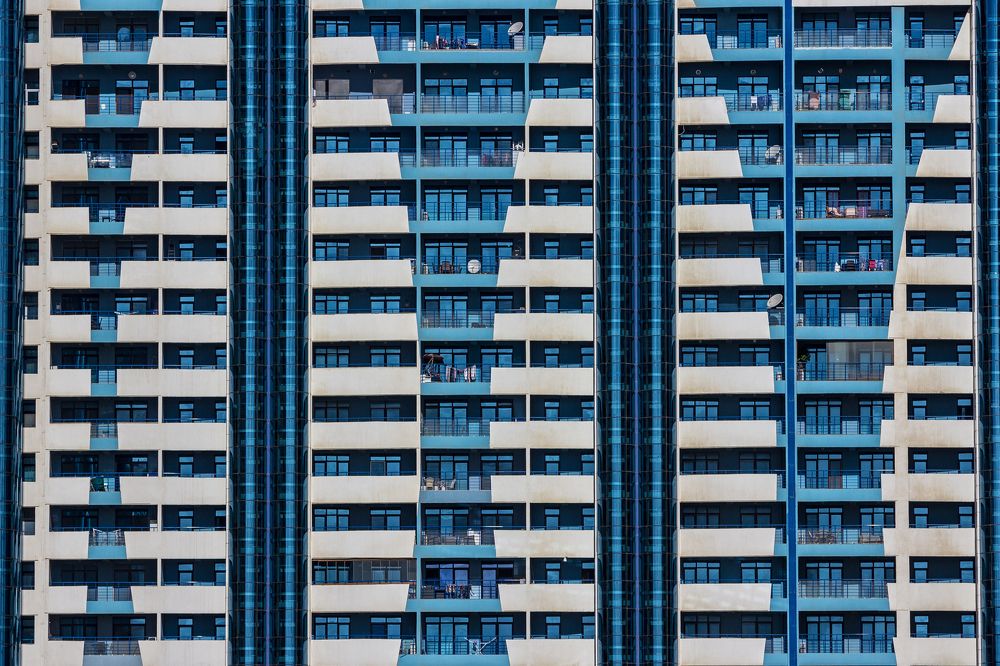 Разноцветная жизнь