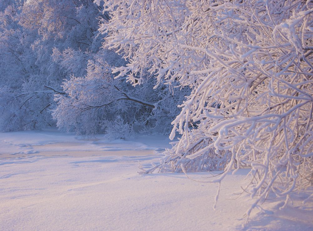 "Зимнее спокойствие"