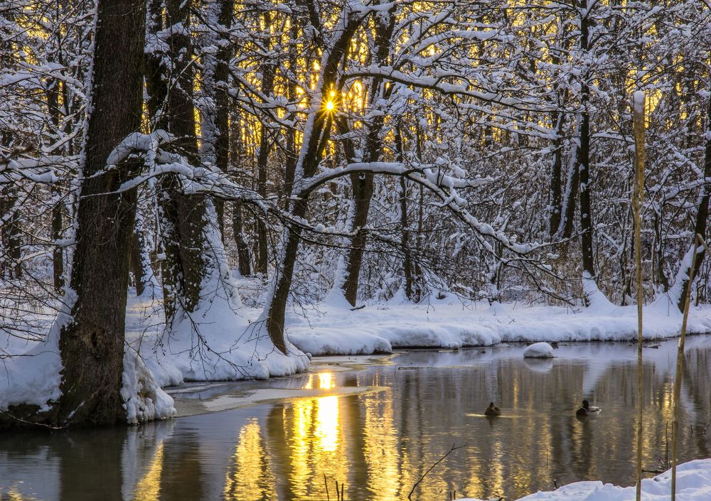 Золотая река