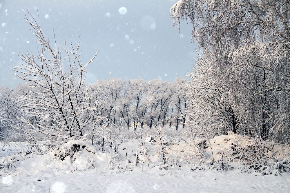 Photograph by Dzianis Mizhui