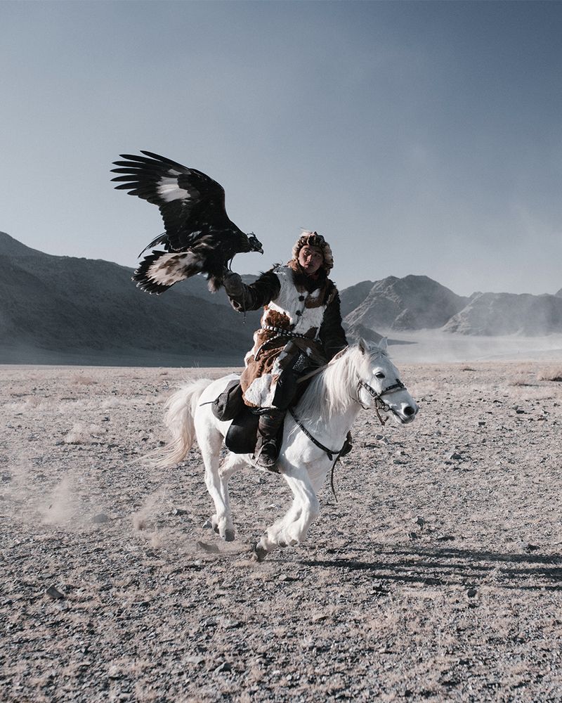 охотник беркутчи