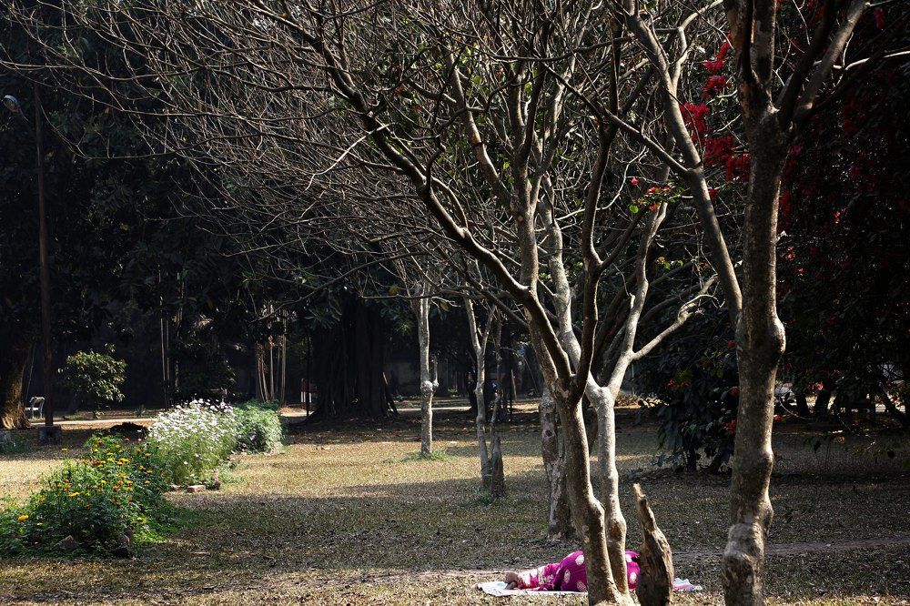 A lazy winter morning at a local park
