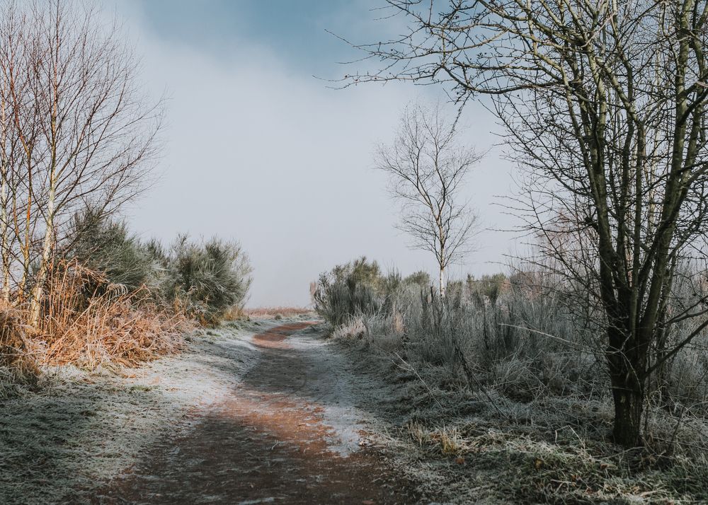 Photograph by Sanda Bogomazova