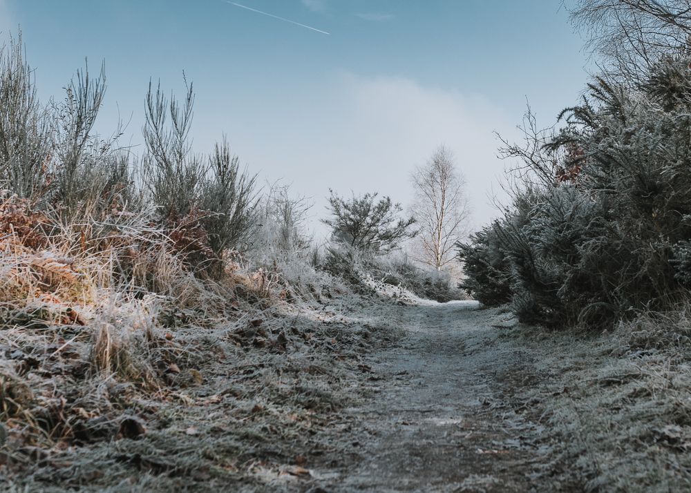 Photograph by Sanda Bogomazova