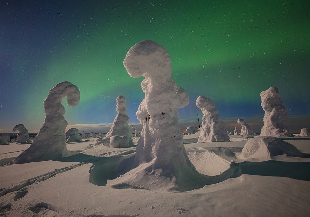 Заблудившиеся