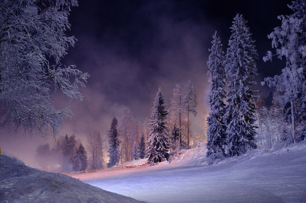 Таинственные деревья