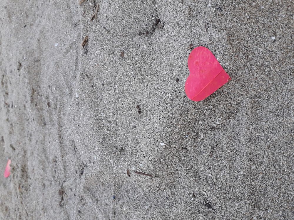 Love is everywhere when you're ready to embrace
