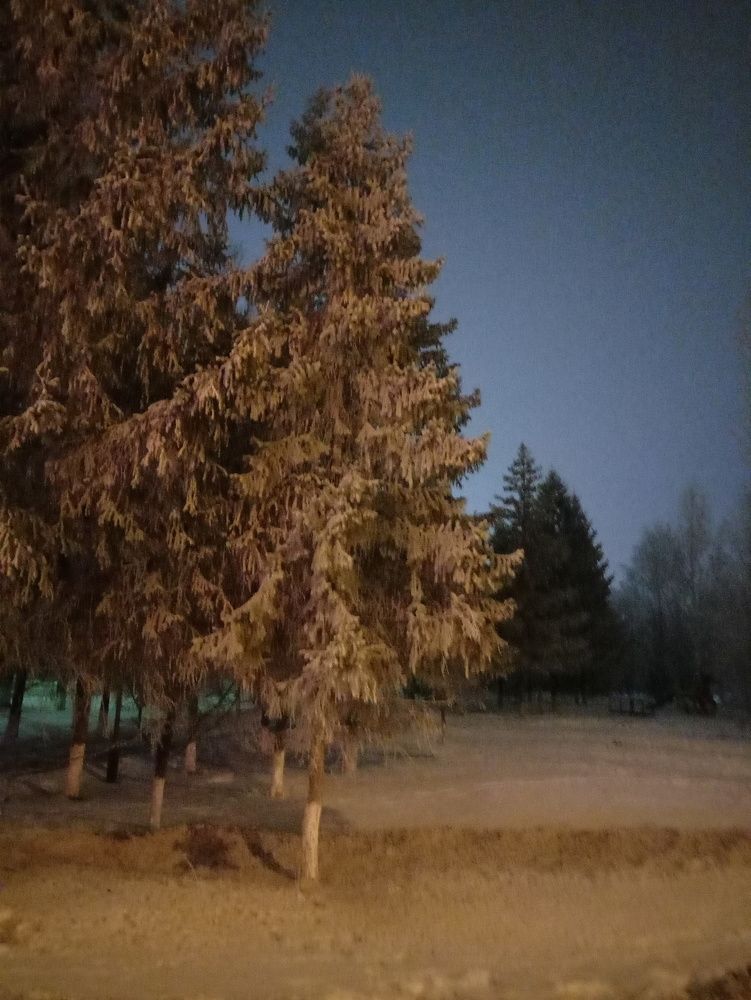 Зимняя ночь