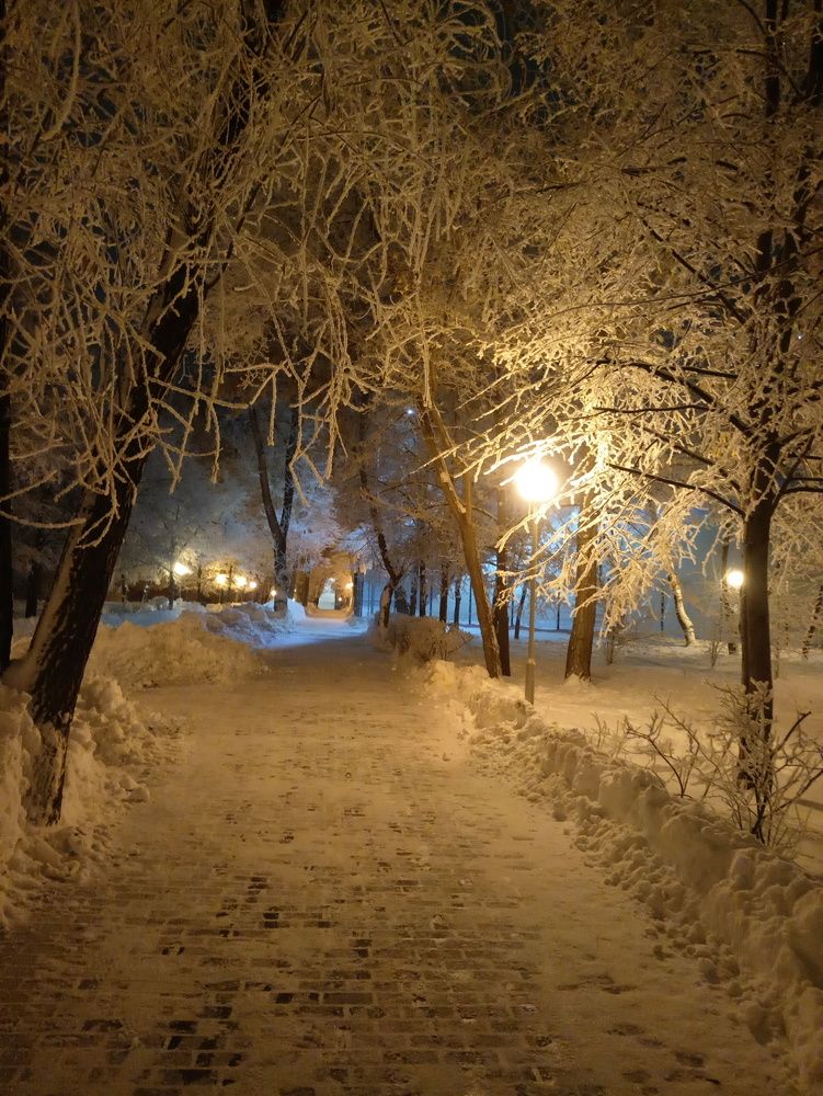 Зимняя аллея