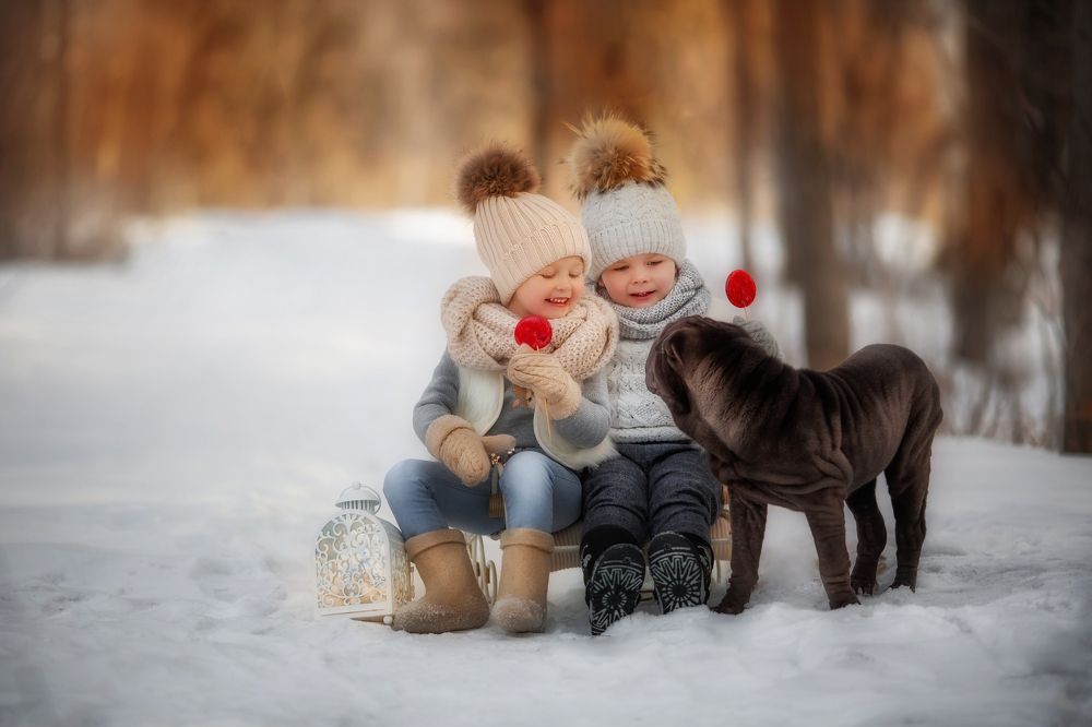 Зимняя прогулка