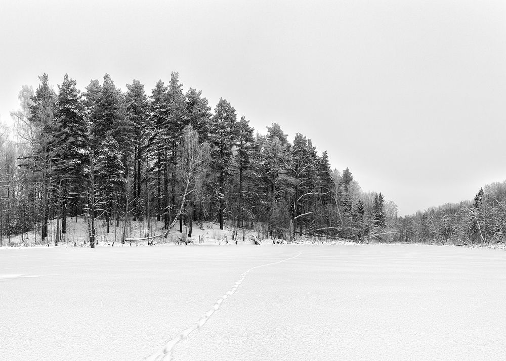 Зимняя дорога