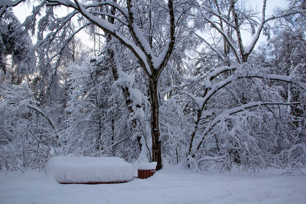 Зимняя сказка