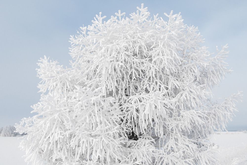 Зимний наряд