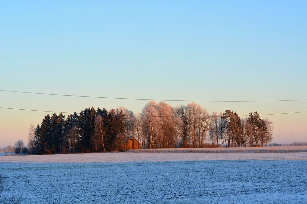 Photograph by Анатолий Орлов