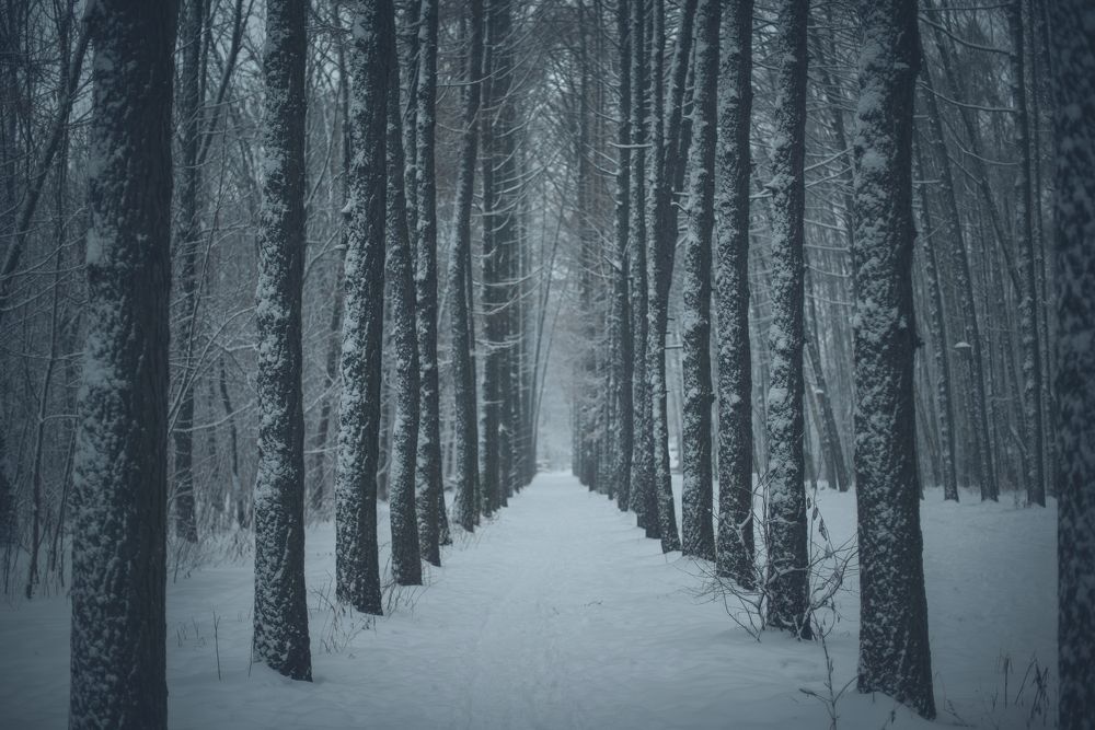 Photograph by Инна Фокина