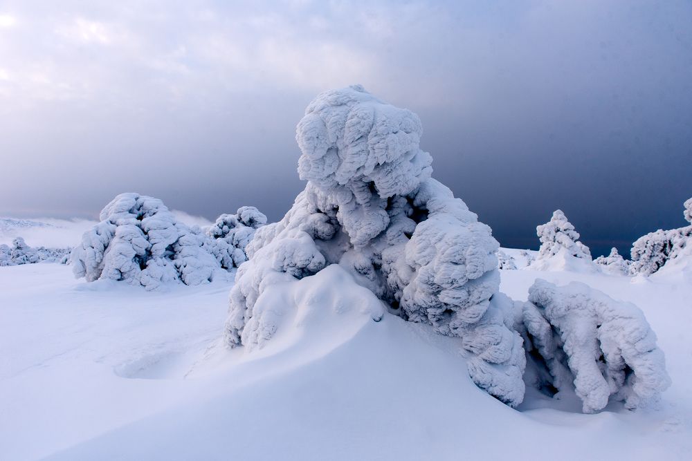 Снежные монстры Крыма