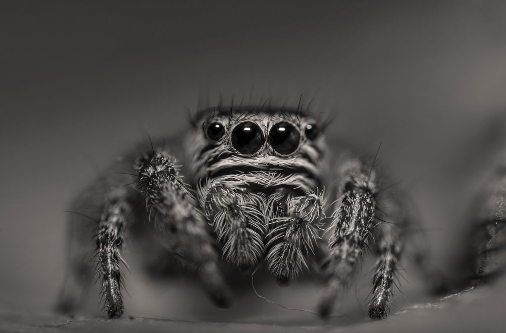 По ту сторону