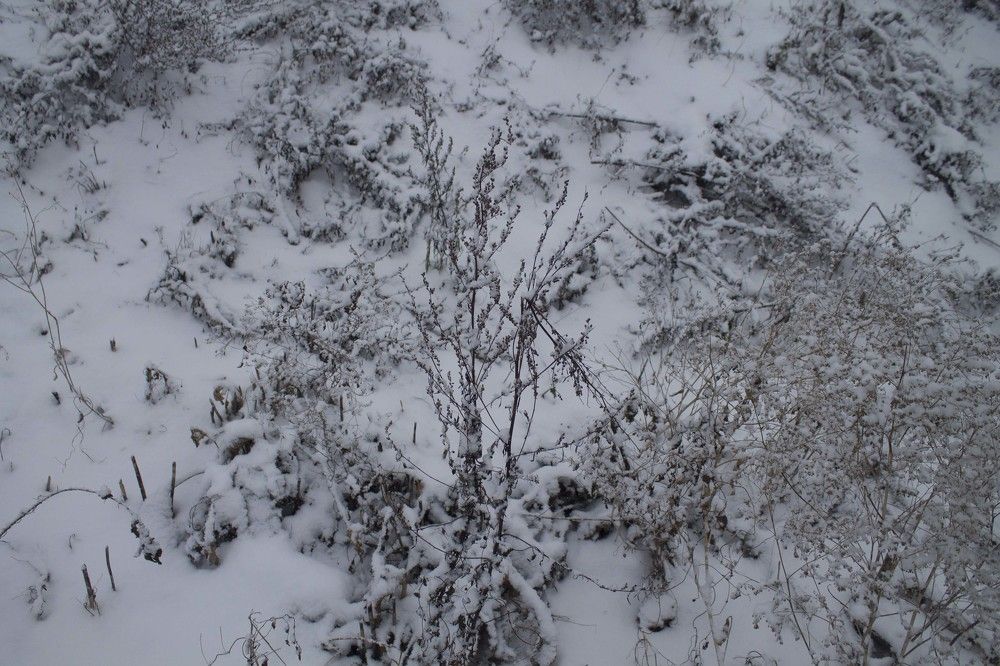 Photograph by Галина