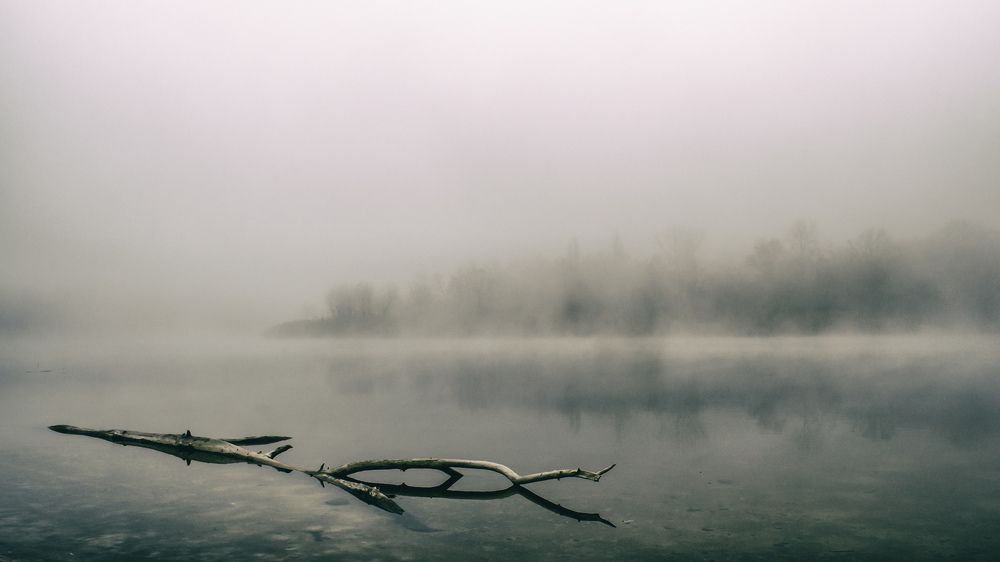 Photograph by Анатолий Коряк