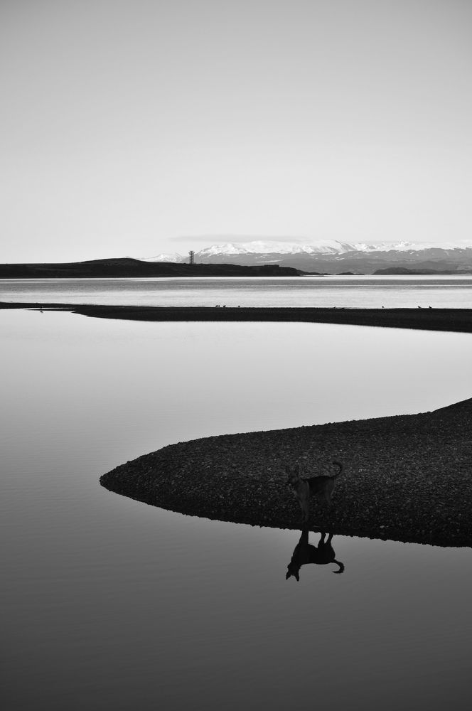 Reflejo