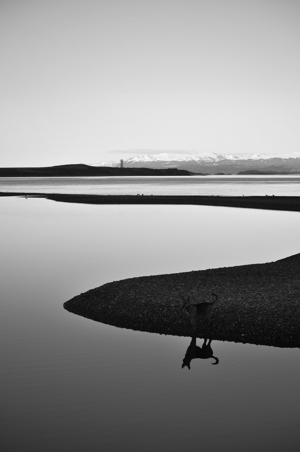Reflejo