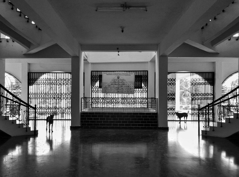 Symmetry