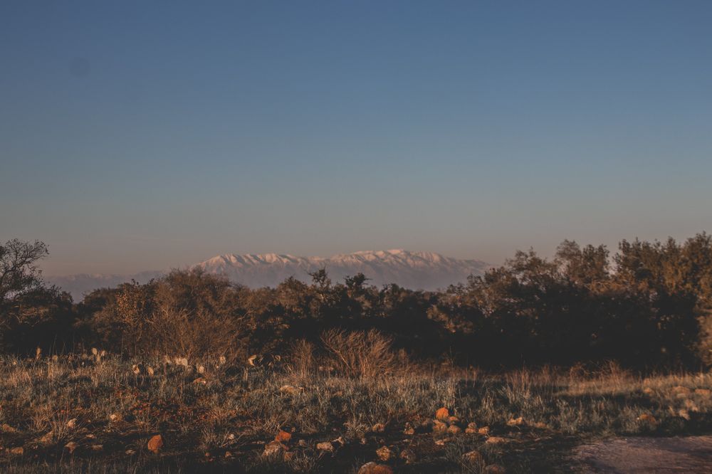 Snow atop the Savannah