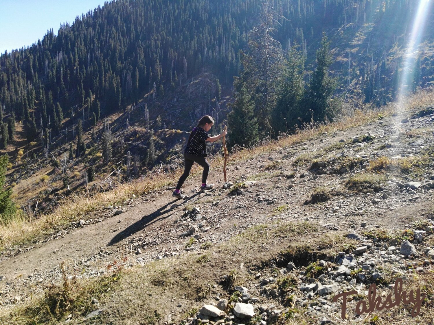 The young climber