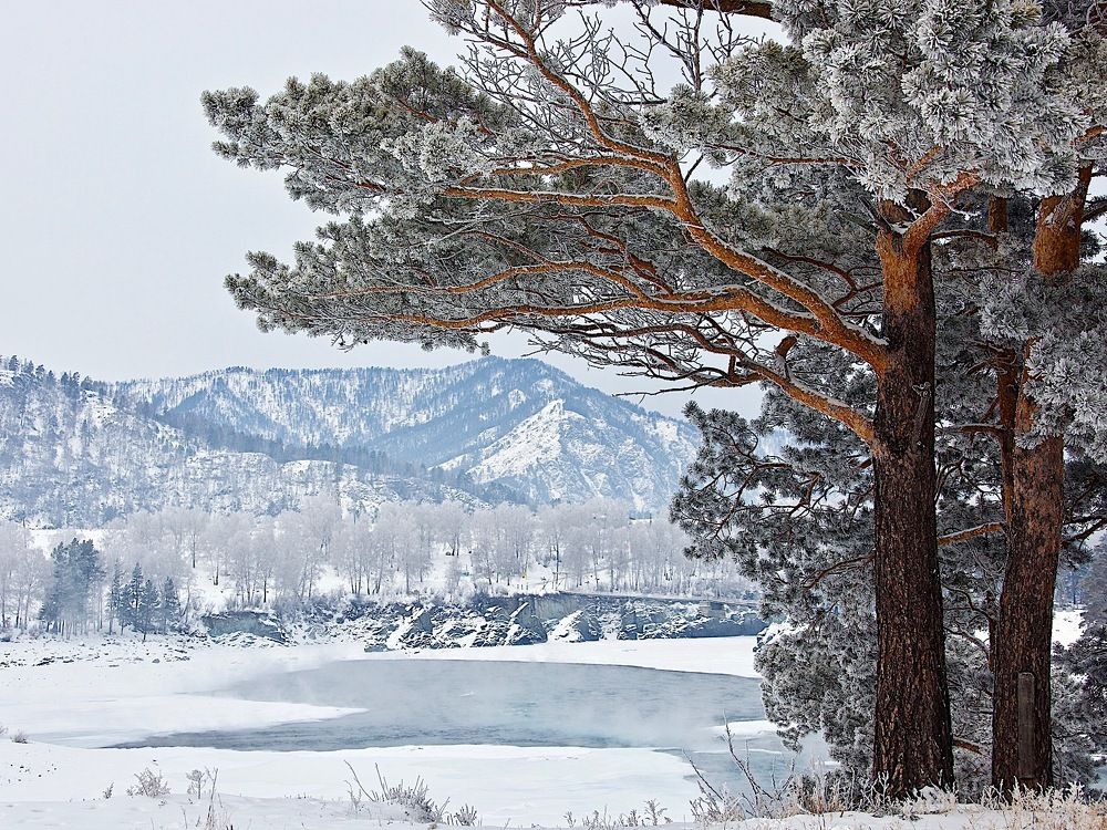 Морозная Катунь