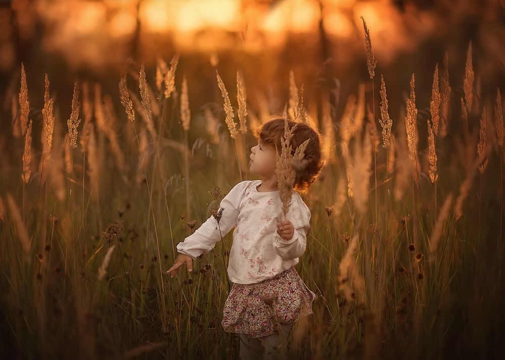 в лучах заката