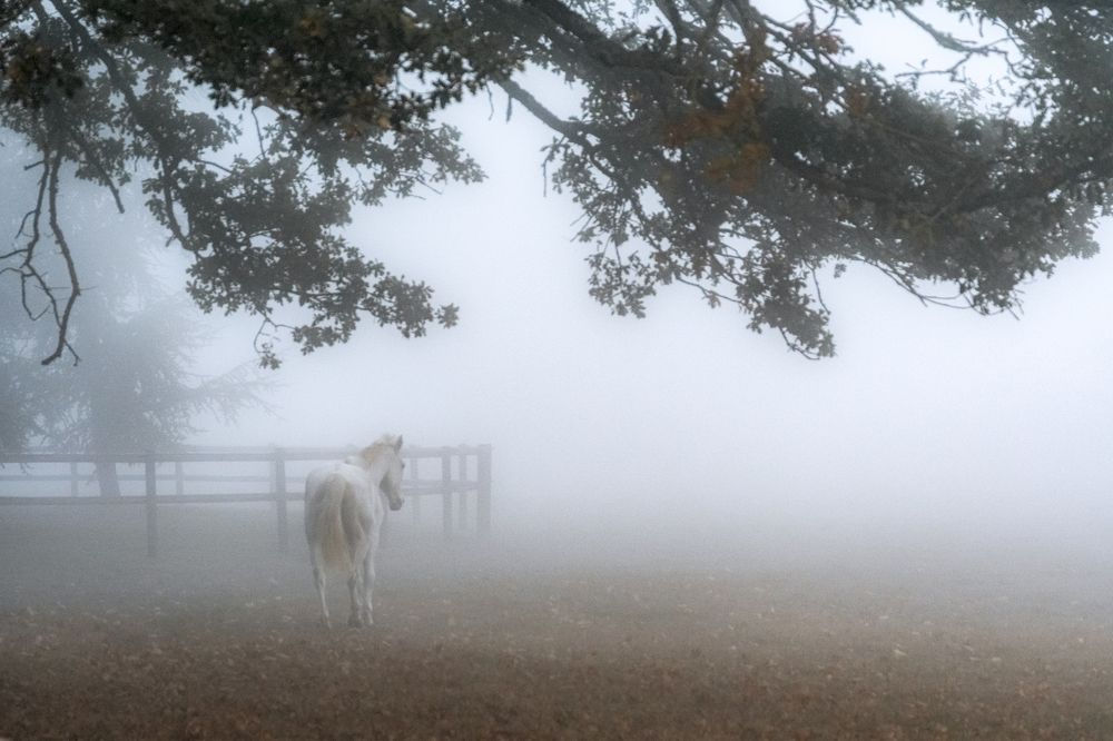 Photograph by Демьян Лопатов
