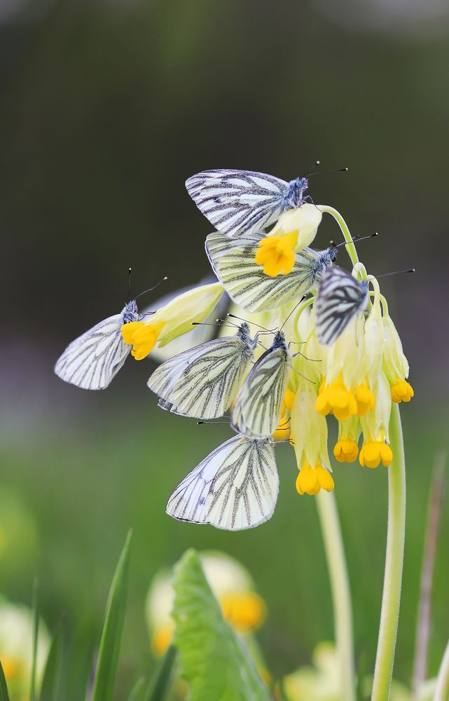 самый вкусный