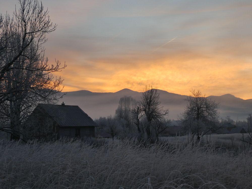 Morning in the village