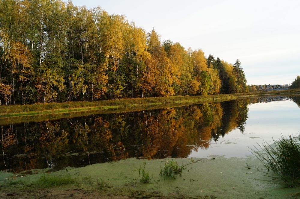 Photograph by Алёна Монахова