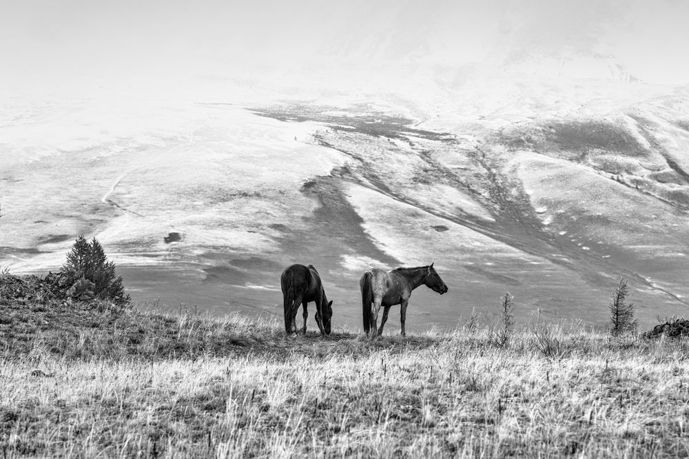 Зима не за горами
