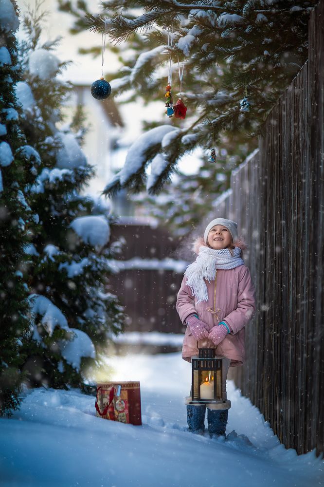 New Year's pine