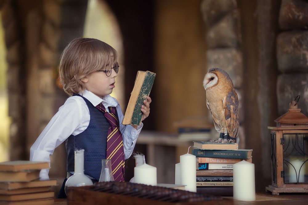 В погоне за знаниями