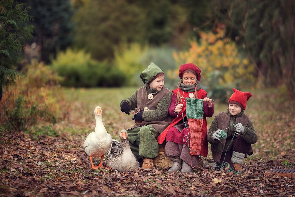 Волшебные гномы