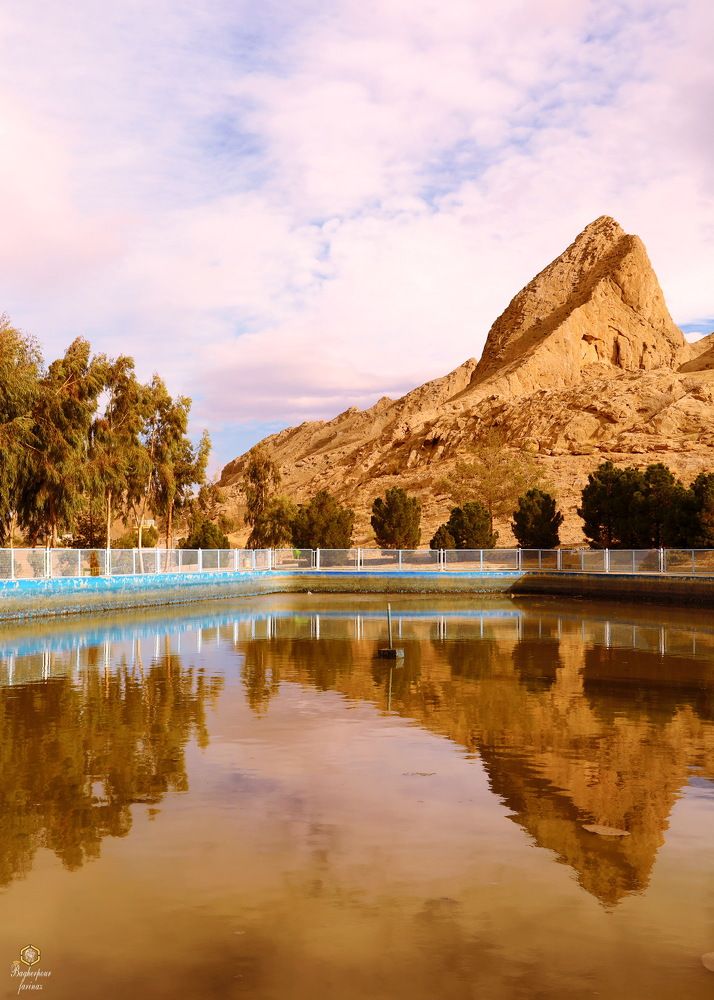 Photograph by Farinaz Bagherpour