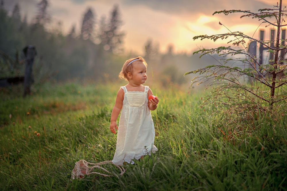 Волшебный вечер