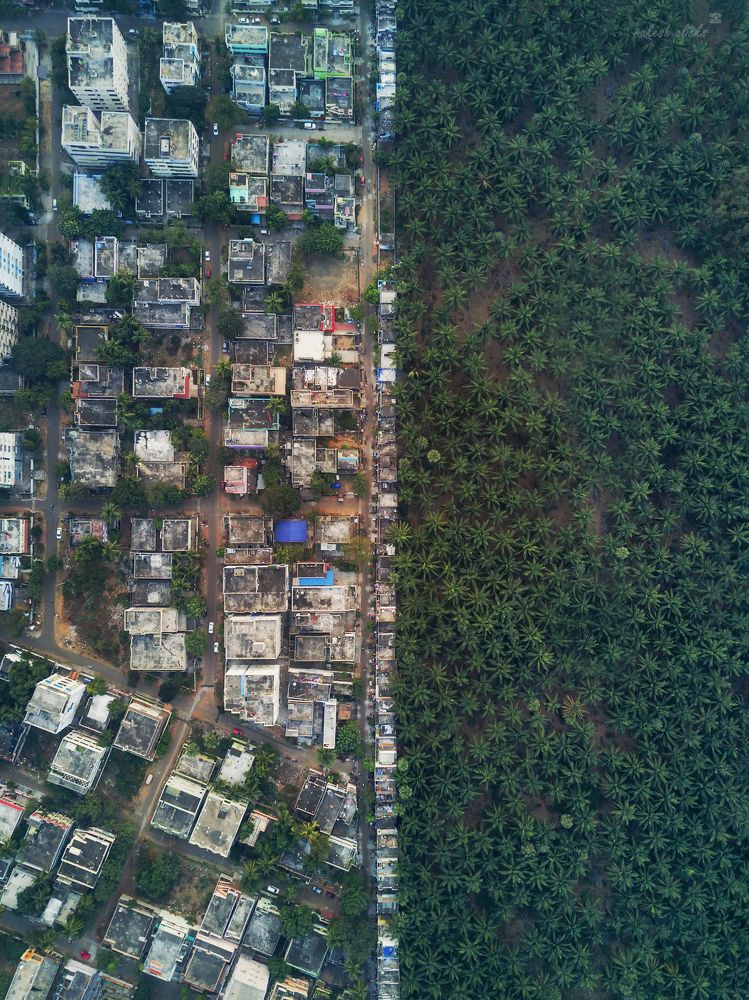 Distinguished Similarites!