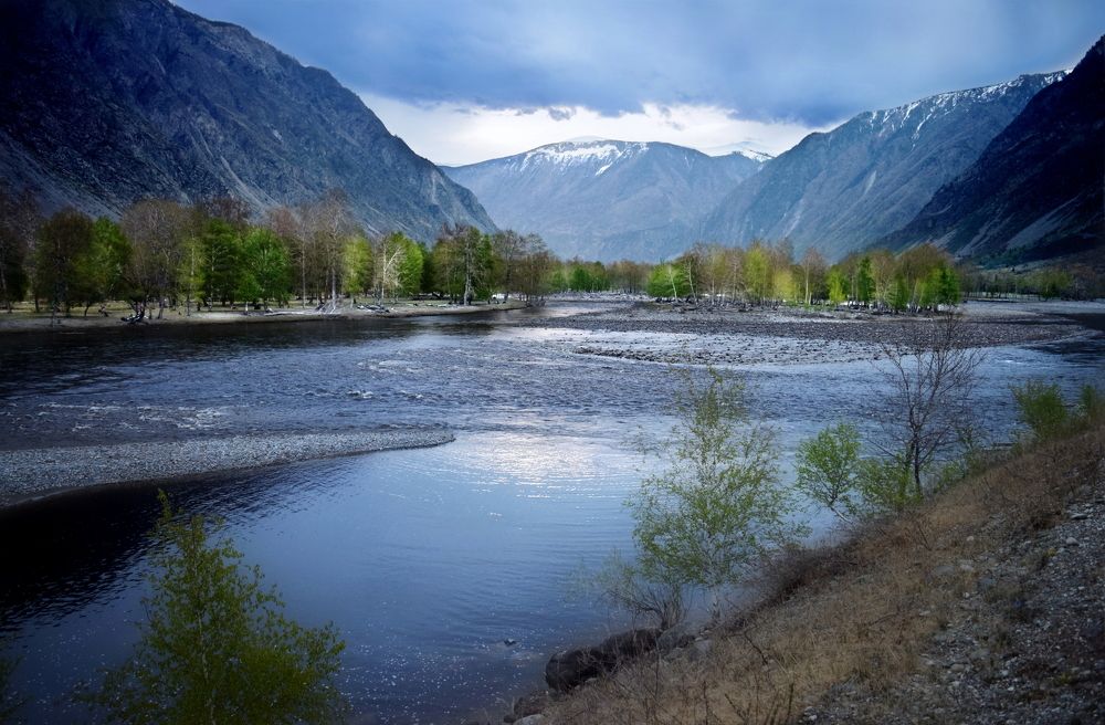 Виражи Чулышмана.